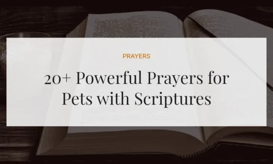 20+ Powerful Prayers for Pets with Scriptures